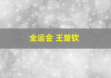 全运会 王楚钦